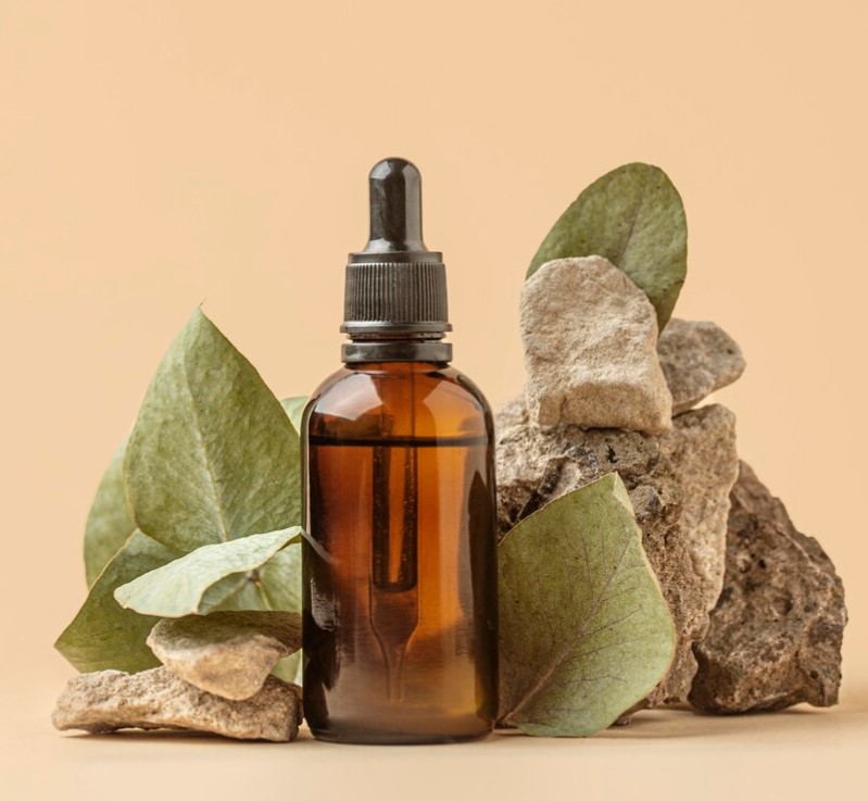 A Copaíba é extraordinária: Descubra por que tem feito tanto sucesso 