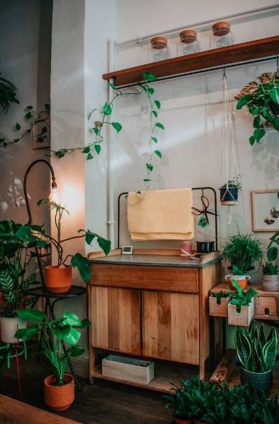 iluminação adequada para plantas, Caso o seu espaço não receba luz natural suficiente