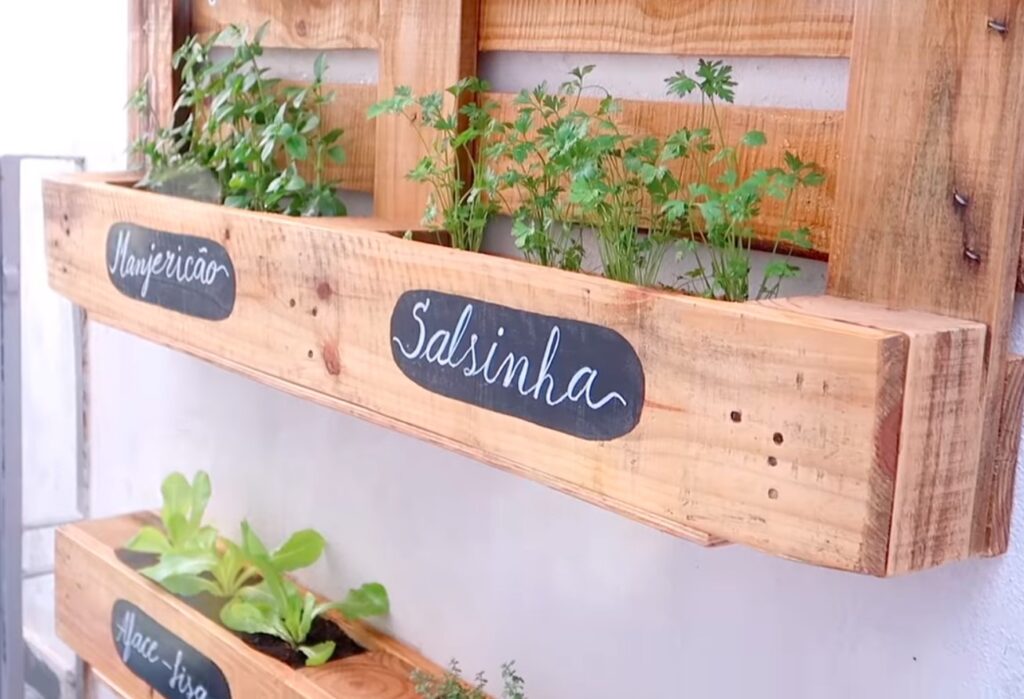 8 Dicas incríveis para Decorar sua Cozinha com Plantas