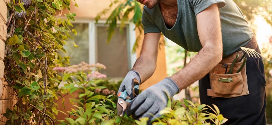 A poda é uma técnica importante na jardinagem