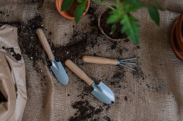 8 Dicas incríveis para Decorar sua Cozinha com Plantas