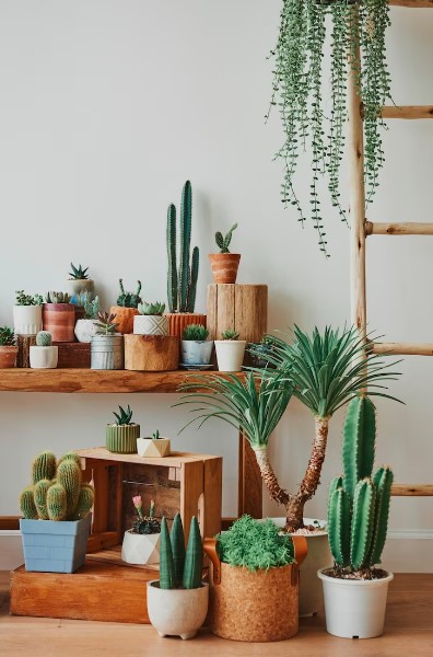 como criar Decoração Estilo Mediterrâneo