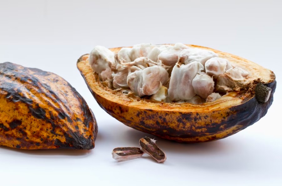 O cacau é uma fonte de minerais essenciais: fortaleça seu organismo