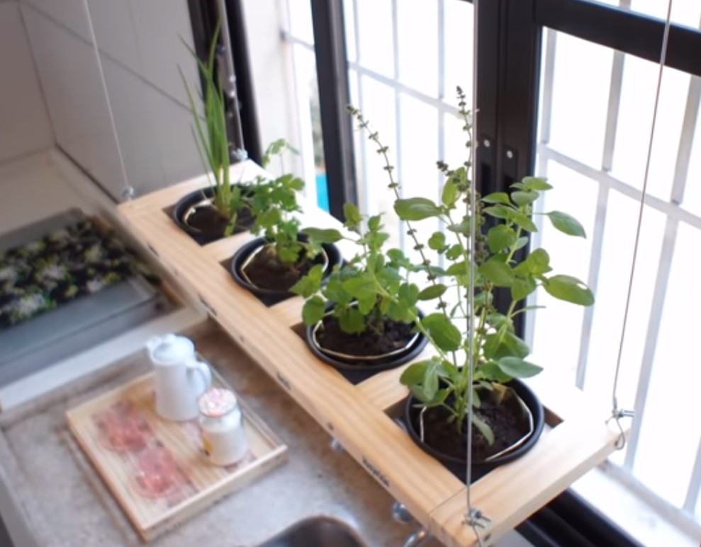 8 Dicas incríveis para Decorar sua Cozinha com Plantas