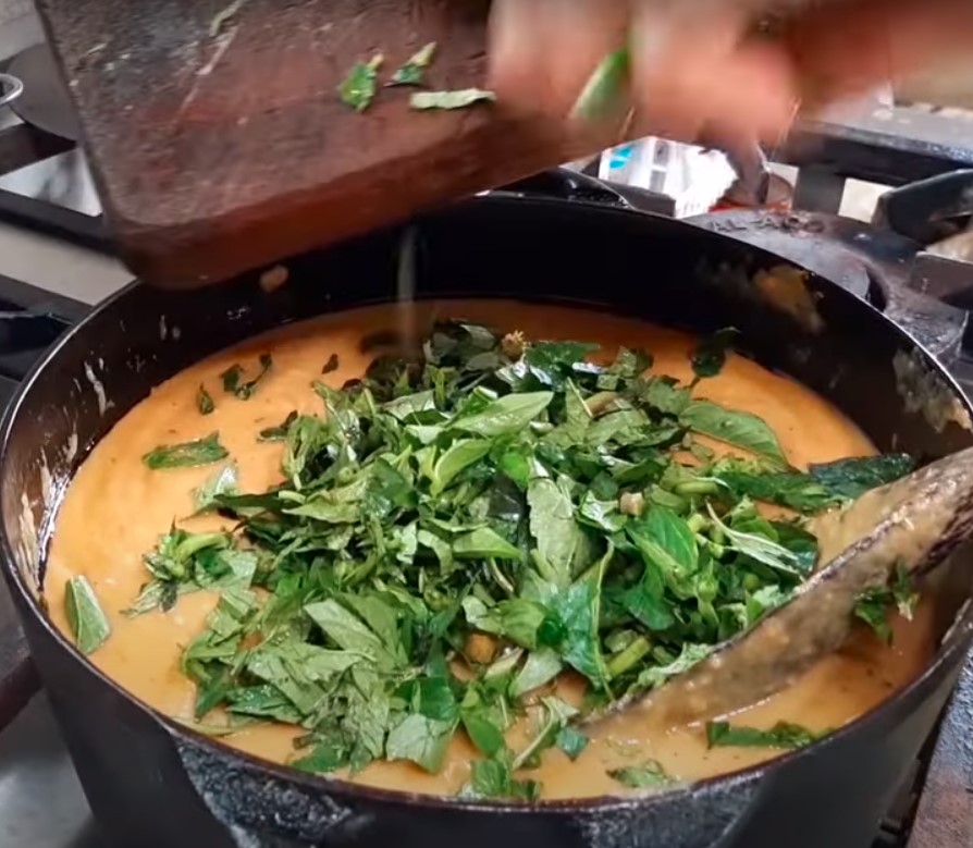 Descubra os segredos do Buriti: O ouro do Cerrado brasileiro