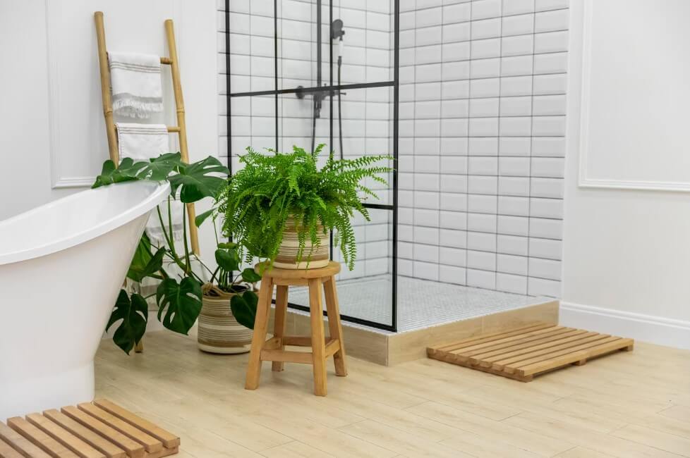 12 Espécies de Plantas para Decorar Seu Banheiro
