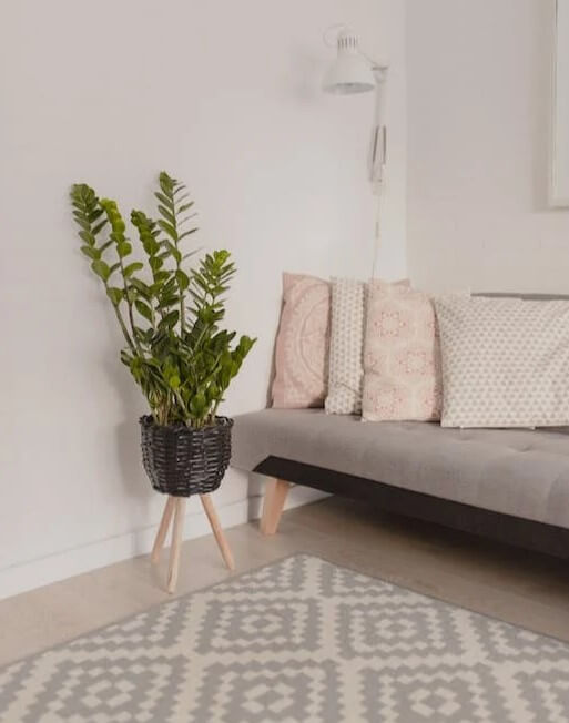 Decoração com plantas: +45 ideias de como decorar