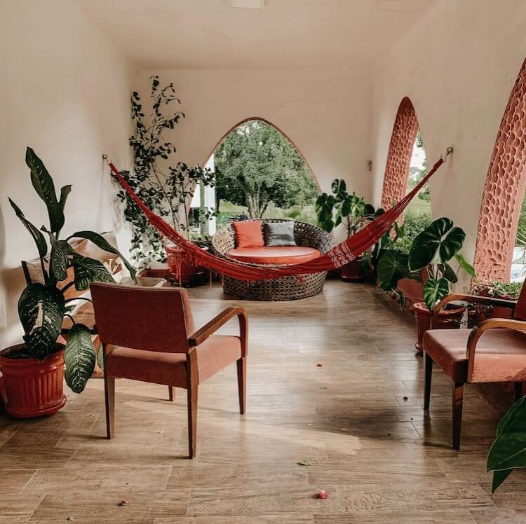 Decoração com plantas: +39 ideias de como decorar