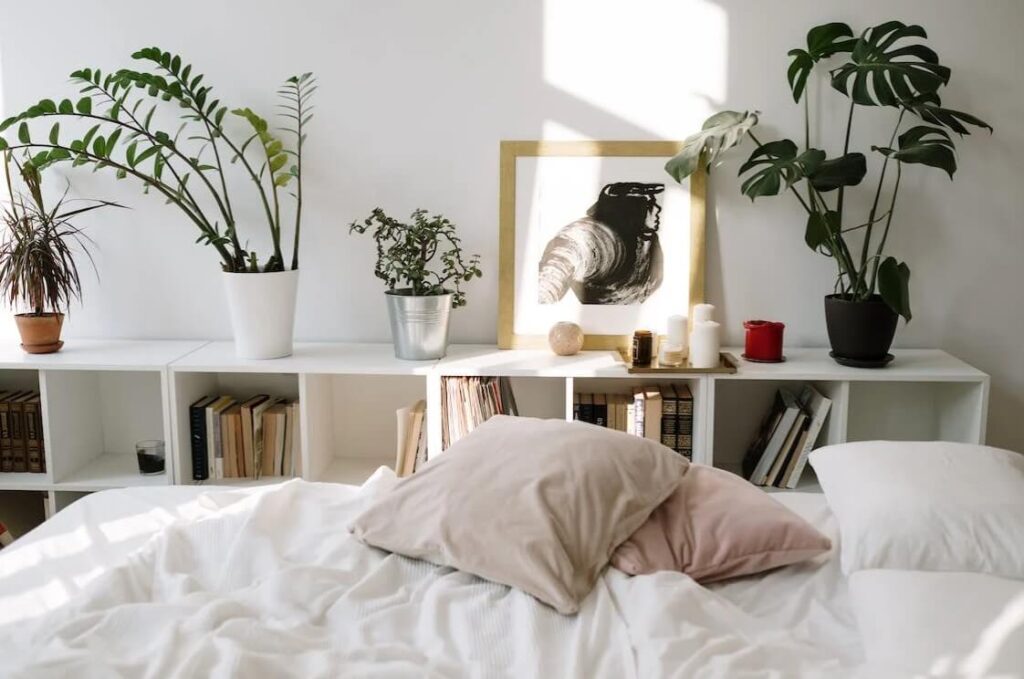 Decoração com plantas: +39 ideias de como decorar o Ambiente