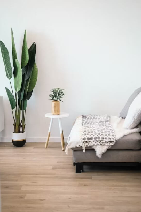 Decoração com plantas: +39 ideias de como decorar o Ambiente