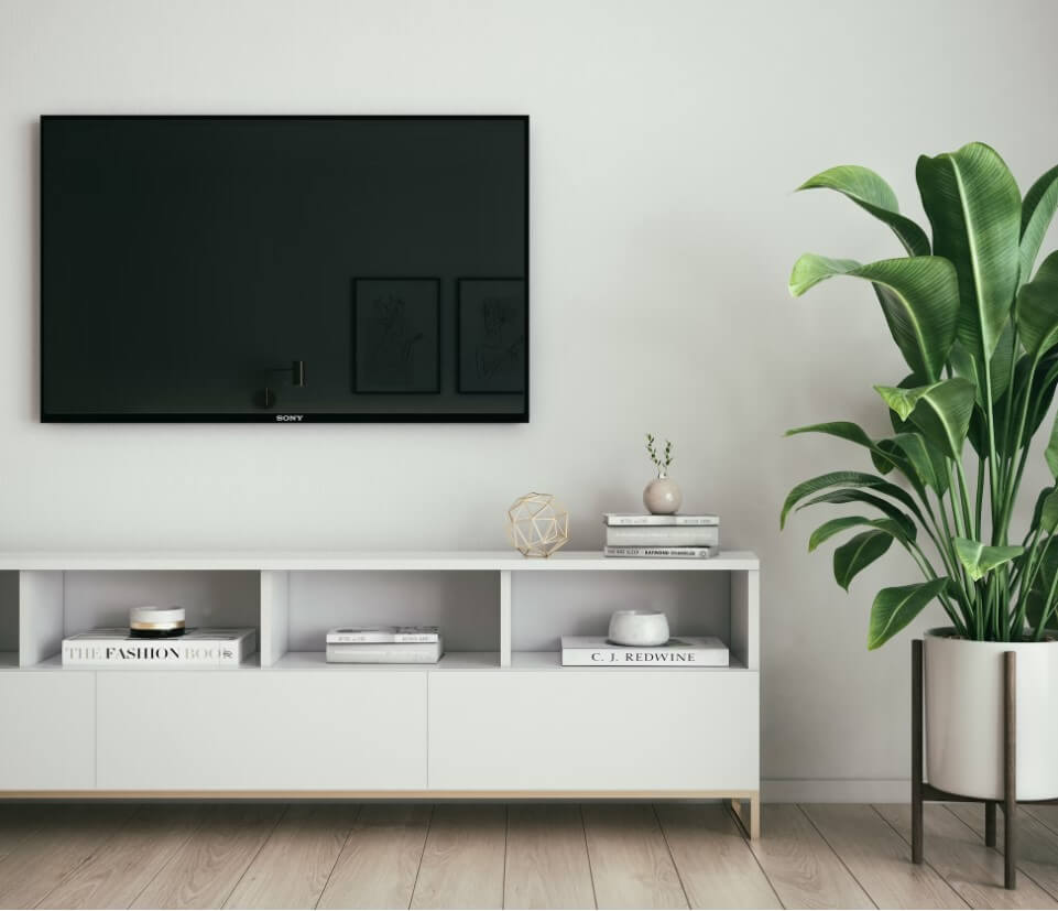 Decoração com plantas: +39 ideias de como decorar o Ambiente