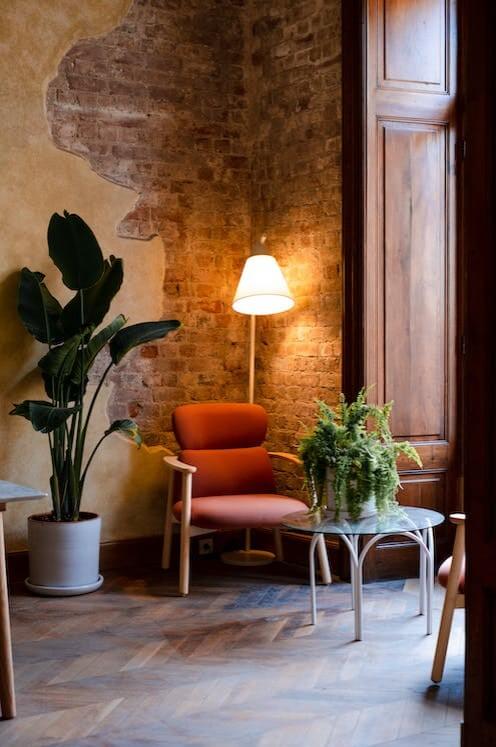 Decoração com plantas: +39 ideias de como decorar o Ambiente