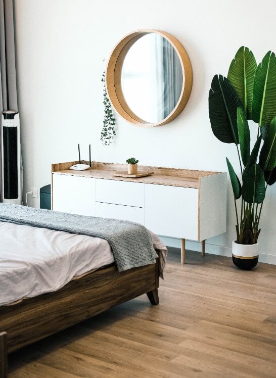 Decoração com plantas: +39 ideias de como decorar o Ambiente