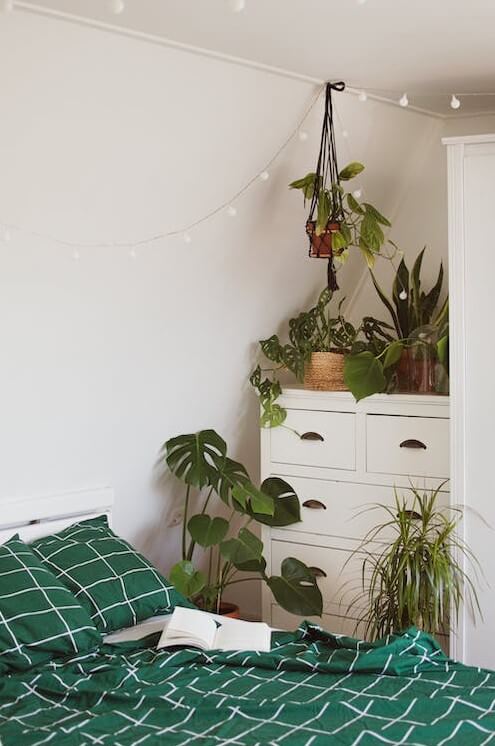 Decoração com plantas: +39 ideias de como decorar o Ambiente