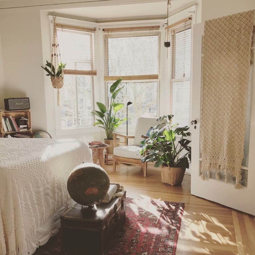 Decoração com plantas: +39 ideias de como decorar o Ambiente