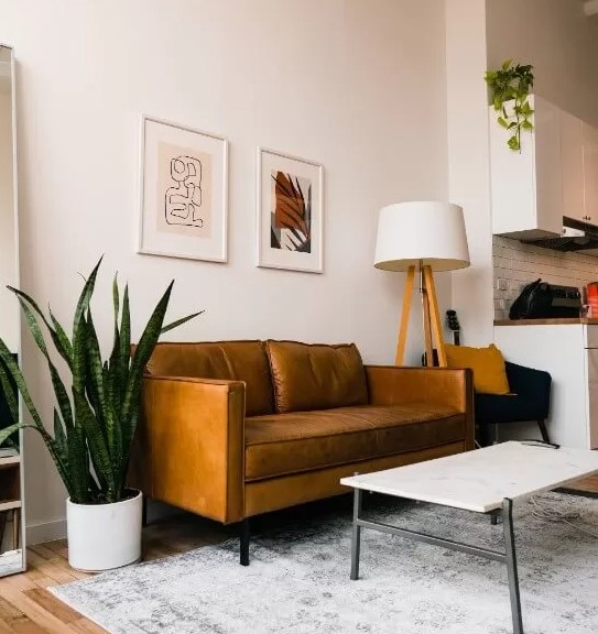 Decoração com plantas: +39 ideias de como decorar o Ambiente